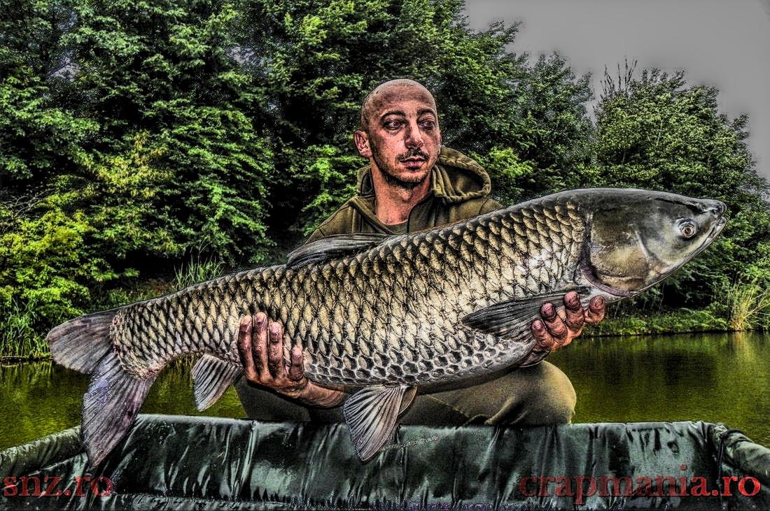 Crapmania (2) - 2013 - 1010419-2hdrmode2.JPG